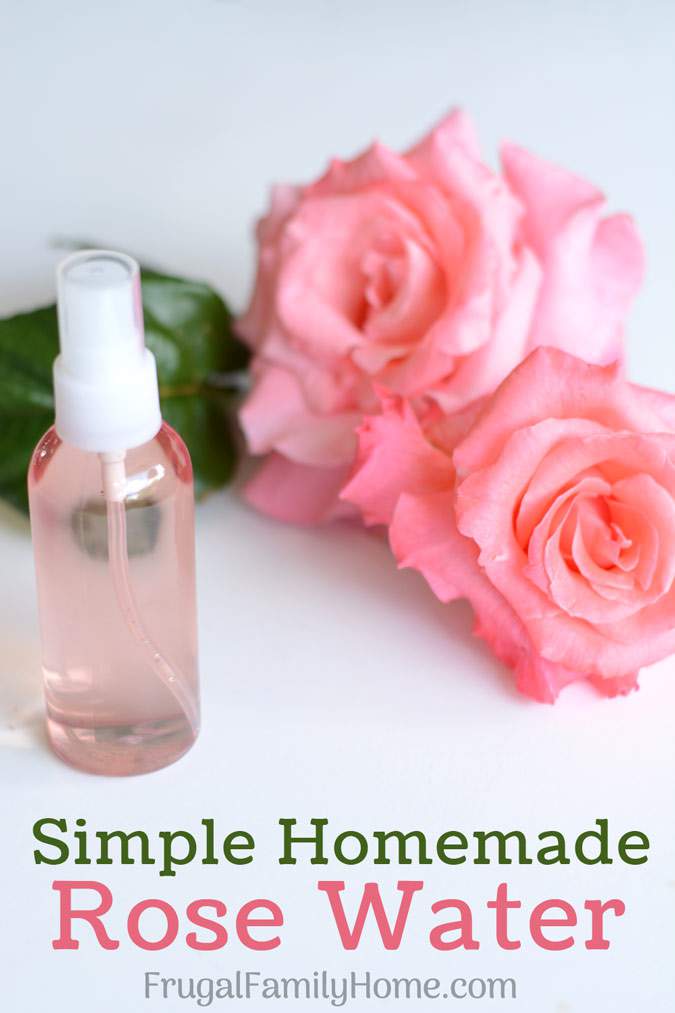 How To Easily Make Homemade Rose Water Frugal Family Home - Diy Rose Water Toner