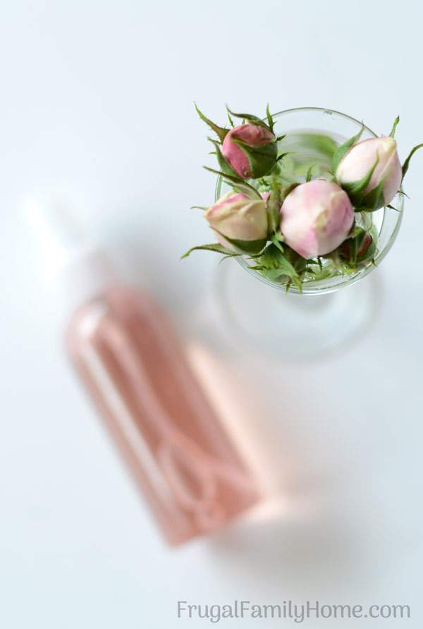 Make your own homemade rose water to pamper your skin. This is a super easy beauty DIY project. It’s so easy you’ll wonder why you haven’t done it before. Skip the expensive rose water at the store and make your own with this simple rose water recipe.