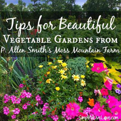 5 Tips to Keep Your Garden Thriving this Summer | Frugal ...