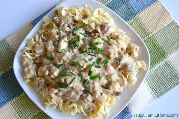 This is a simple and easy creamy mushroom chicken recipe. It’s a one pot dish that is great for the summer because you cook it in the skillet. It’s equally delicious served over pasta or rice and it can be made dairy free too.