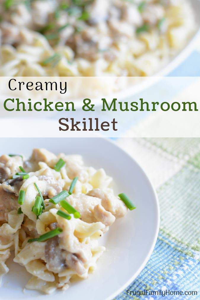 This is a simple and easy creamy mushroom chicken recipe. It’s a one pot dish that is great for the summer because you cook it in the skillet. It’s equally delicious served over pasta or rice and it can be made dairy free too.