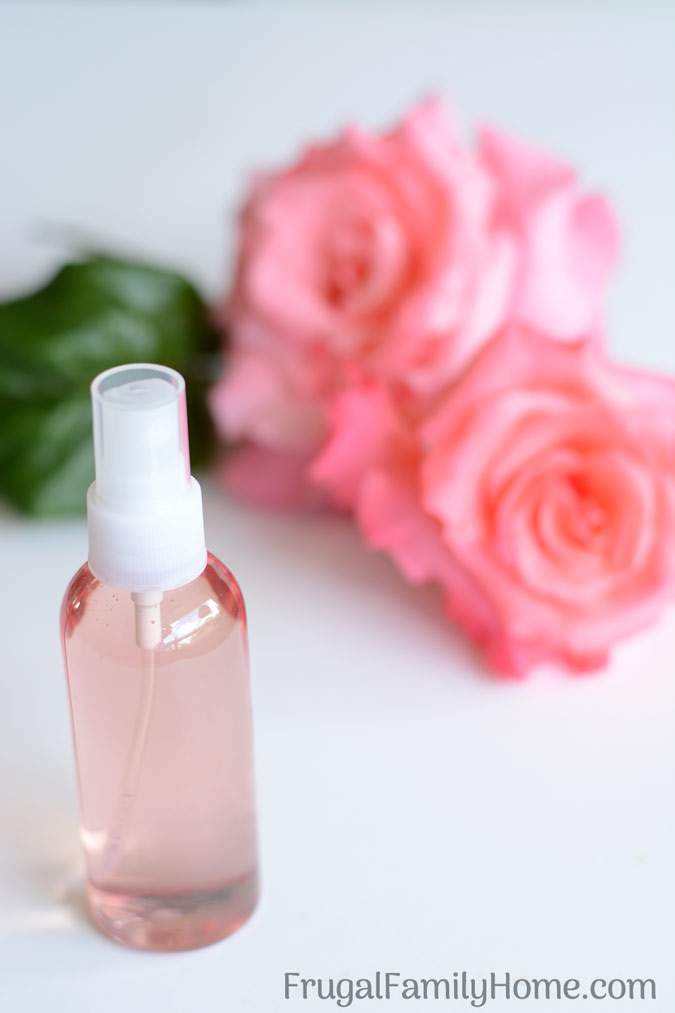 Make your own homemade rose water to pamper your skin. This is a super easy beauty DIY project. It’s so easy you’ll wonder why you haven’t done it before. Skip the expensive rose water at the store and make your own with this simple rose water recipe.