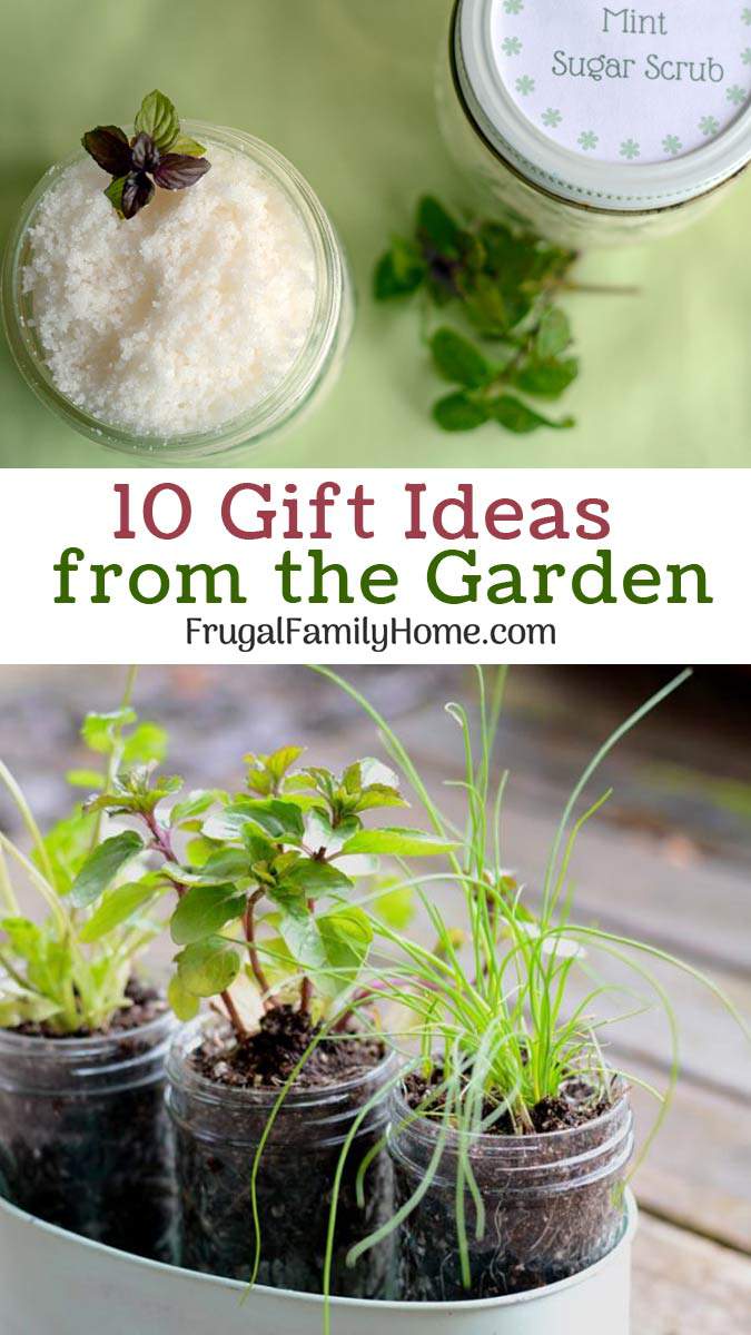 Gardening Archives Frugal Family Home