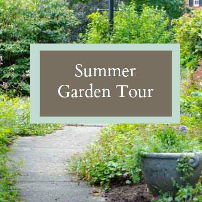 Summer Garden Tour