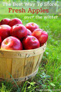 The Best Way to Store Apples | Frugal Family Home