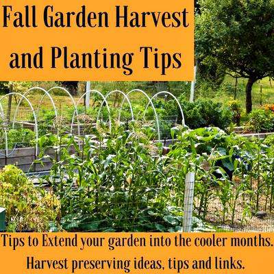 Fall Harvest Tips