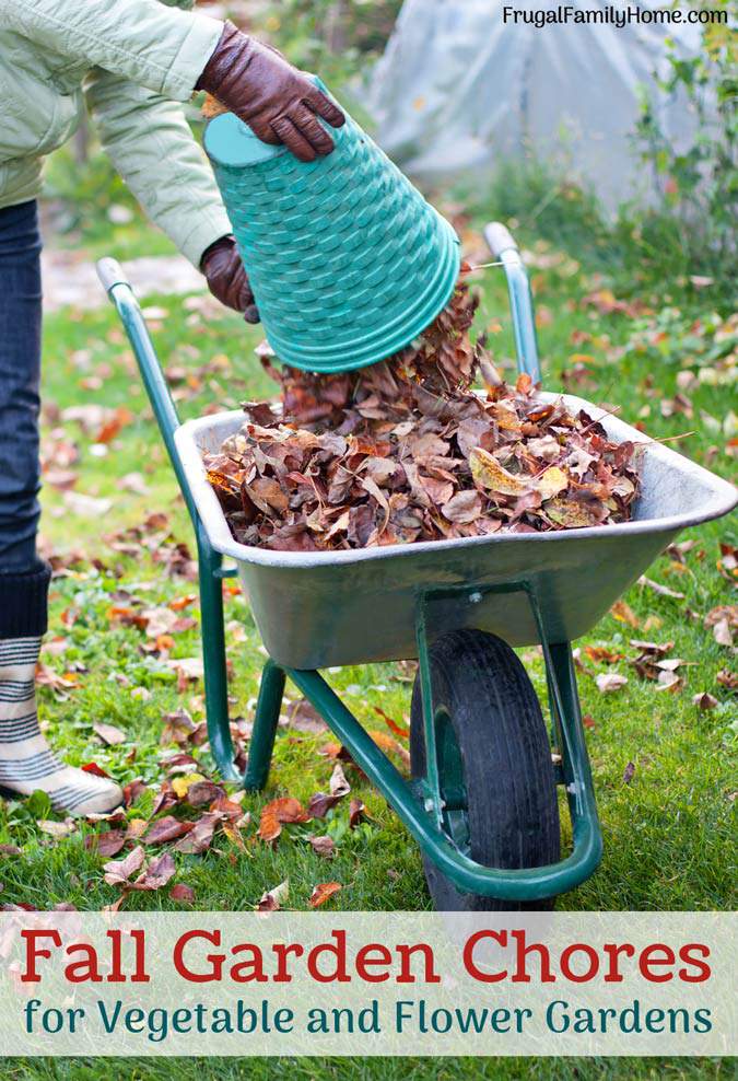 Fall Garden Chores, What to Do Before Winter Comes