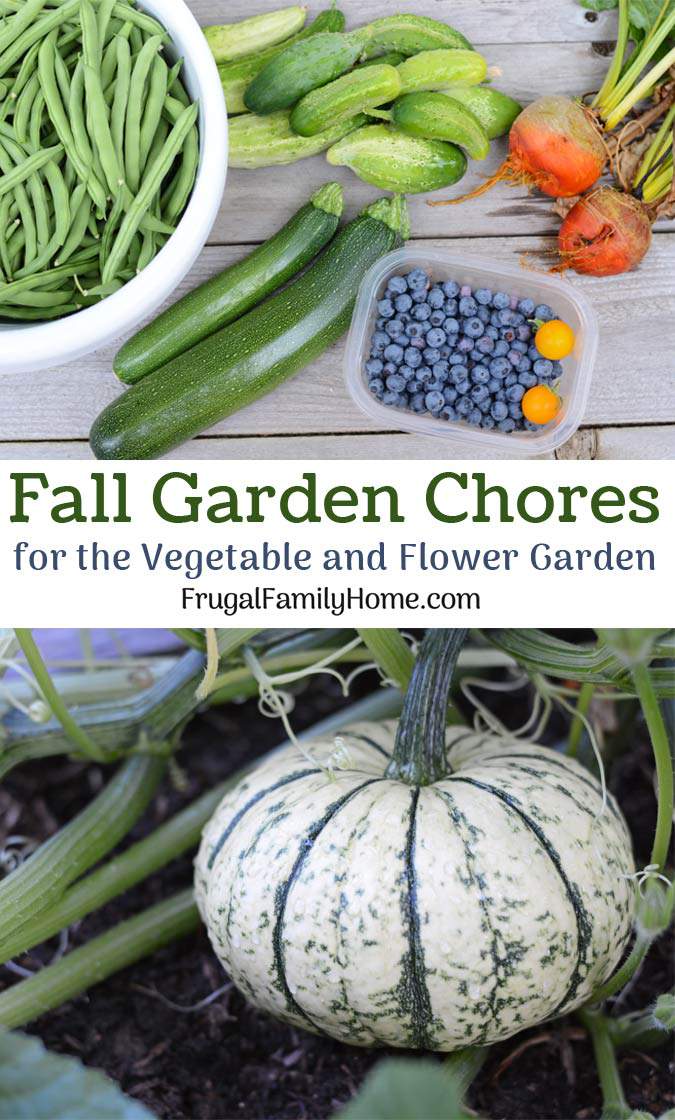 Top Fall Garden Chores to do before winter comes. Now is a great time to clean up your garden beds and flower beds to get them ready for winter. Doing fall garden chores can make gardening in the spring so much easier. Make sure to get these tasks done.