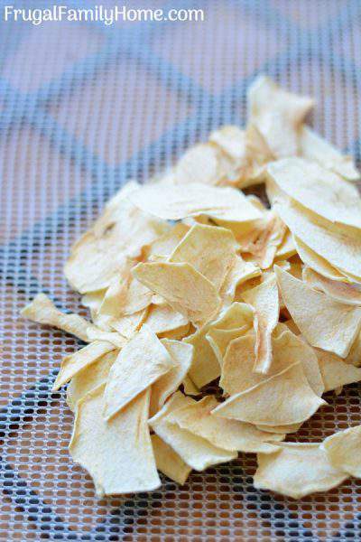 How to Make Apple Chips, with Three Drying Options | Frugal Family Home