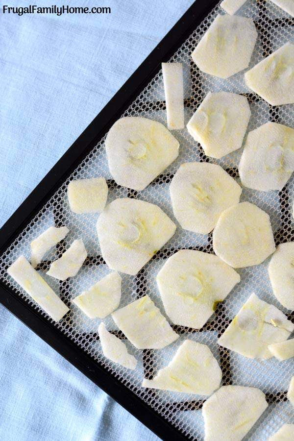 Homemade apple chips are simple, healthy and easy to make with this recipe. Only one ingredient needed. Plus I’ve shared three ways to dry your apple chips. I’m sure one of these methods will work for you.