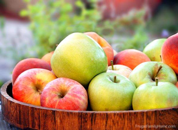 The Best Way to Store Apples - Frugal Family Home