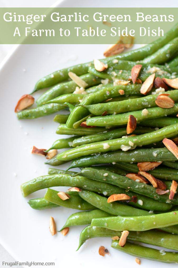 Ginger Garlic Green Beans, this green bean side dish recipe is made with fresh, frozen or canned green beans. It’s asian inspired with garlic and ginger to season the green beans and sprinkled with almonds to make an elegant but super easy sautéed side dish.