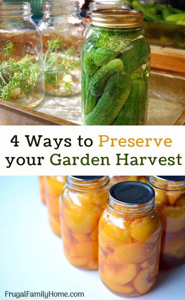 Practical Food Preservation Ways You Can Preserve Your Fruits and Veggies Frugal Family Home