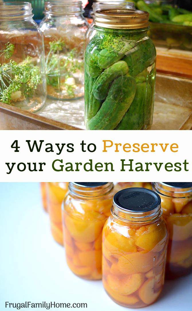 4 Practical Ways to Preserve Your Garden Harvest. Got a bumper crop? Preserve your surplus garden harvest with one of these 4 ways.