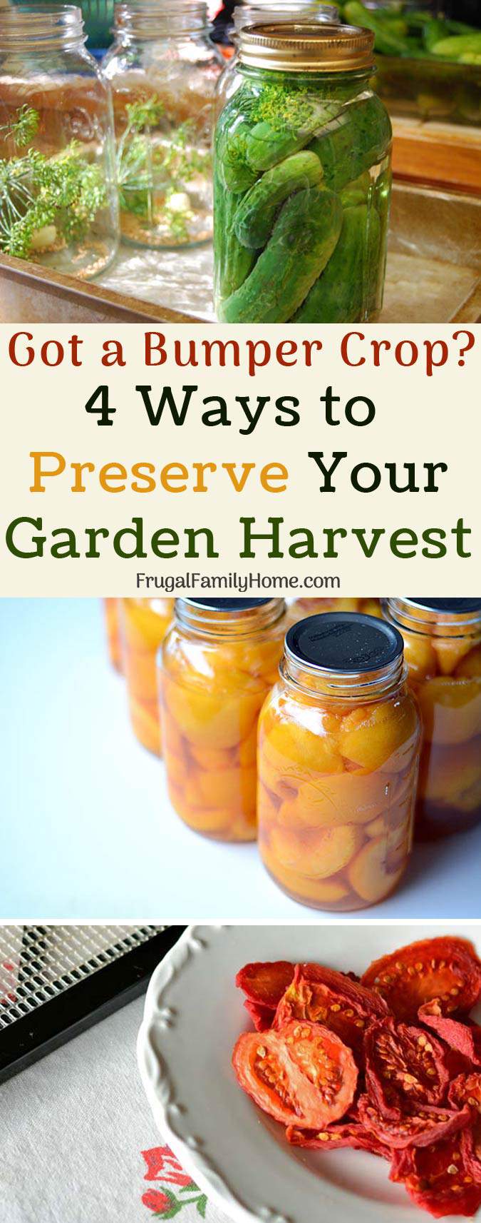 4 Practical Ways to Preserve Your Garden Harvest. Got a bumper crop? Preserve your surplus garden harvest with one of these 4 ways.