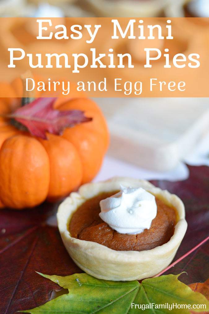 Make these mini pumpkin pies from scratch for Thanksgiving. This is an easy pumpkin pie recipe that is vegan, dairy free, and egg free too. They are easy to make since they are baked in a muffin tin and the filling is quickly mixed up in a food processor too. Everyone will love these individually sized pumpkin pies.