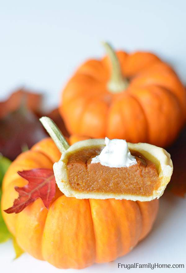  Make these mini pumpkin pies from scratch for Thanksgiving. This is an easy recipe that is vegan, dairy free, and egg free too. They are easy to make since they are baked in a muffin tin and the filling is quickly mixed up in a food processor too. Everyone will love these individually sized pumpkin pies.