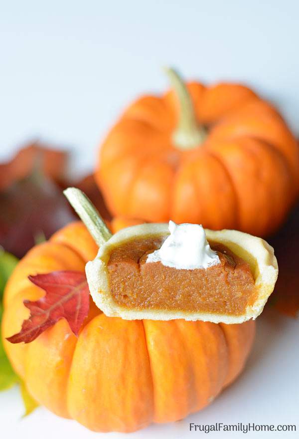 How to Make Mini Pumpkin Pies, Dairy and Egg Free