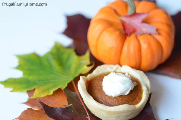  Make these mini pumpkin pies from scratch for Thanksgiving. This is an easy recipe that is vegan, dairy free, and egg free too. They are easy to make since they are baked in a muffin tin and the filling is quickly mixed up in a food processor too. Everyone will love these individually sized pumpkin pies.