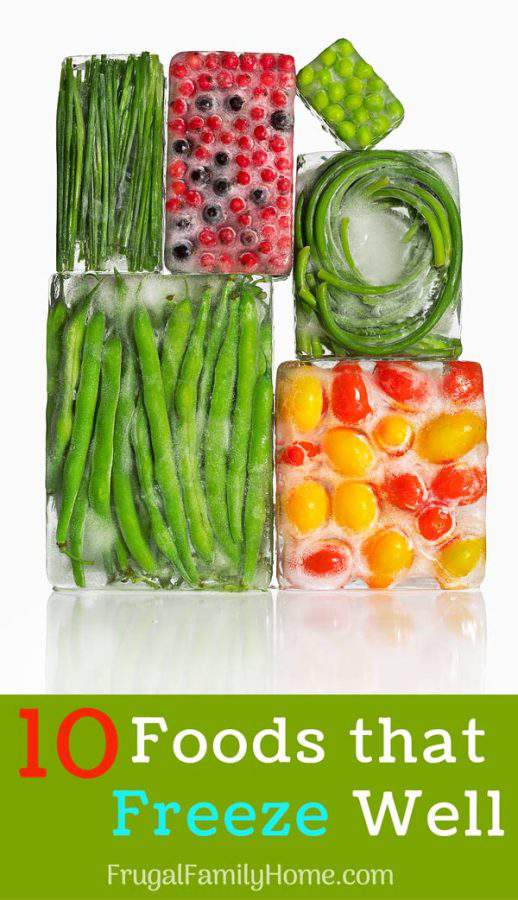 10 Foods that Freeze Well, Stop Food Waste and Save Money Frugal