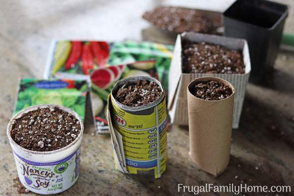 DIY Seed Starting Trays: 7 Easy, Inexpensive Containers to Try
