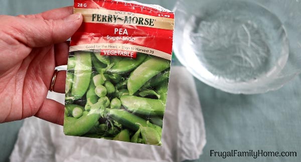 starting sugar snap peas indoors