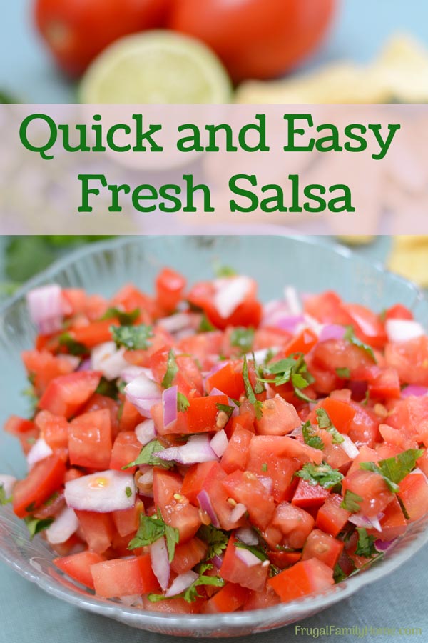 Homemade salsa deals fresh tomatoes