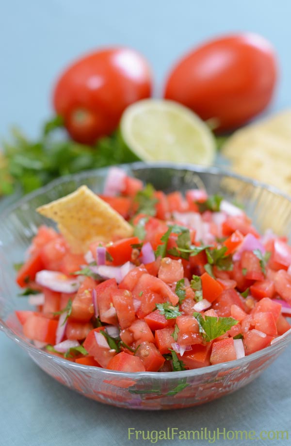 Homemade fresh salsa photo in a bowl.