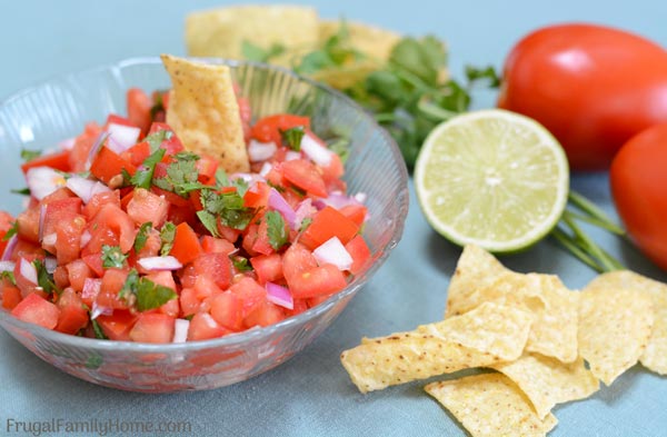 fresh salsa with a chip in it.