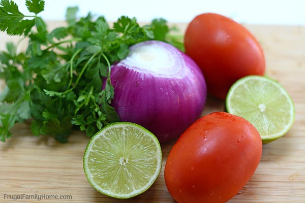 Ingredients needed for a batch of fresh salsa. 