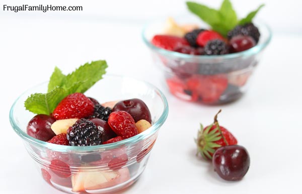the homemade fruit salad in bowls with a sprig of mint