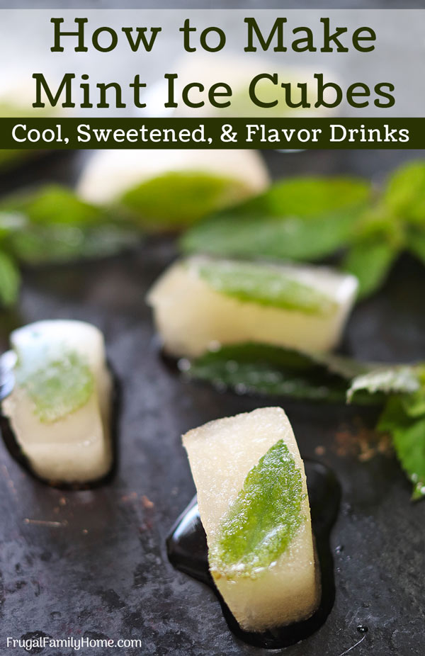 Mint ice cubes on a dark background