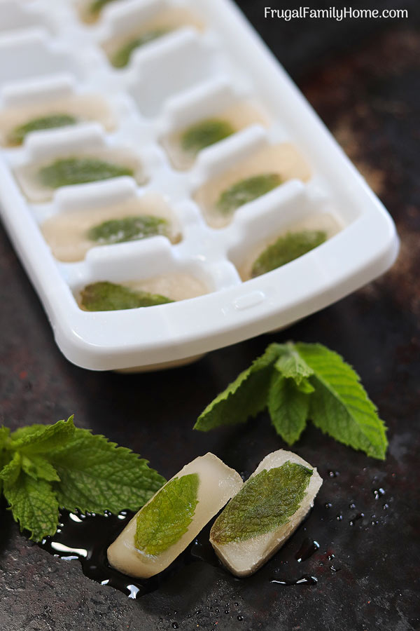 How to make mint ice cubes with ice cube mold.