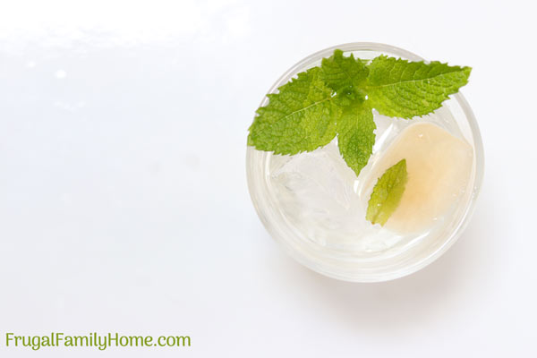 Mint ice cubes flavoring a glass of water