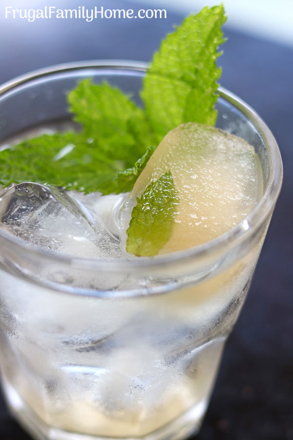 Mint ice cubes in a glass of water