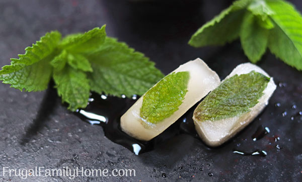 Frozen Mint Leaf Ice Cubes Recipe