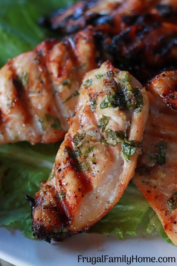 A freezer friendly garlic and parsley chicken up close photo