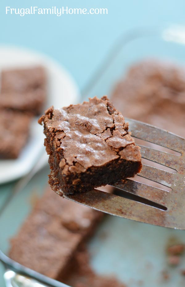 One homemade brownie serving on a spatula.