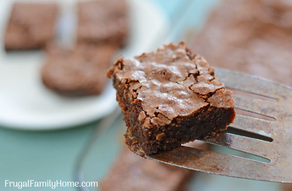 serving on of the homemade brownies on a spatula.