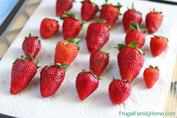 Drying the strawberries before storing.