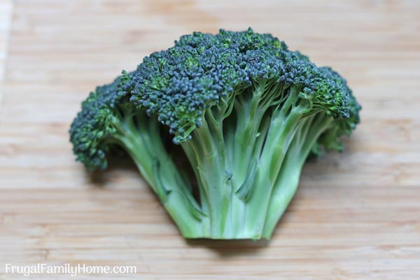 A full head of broccoli ready to be cut up.