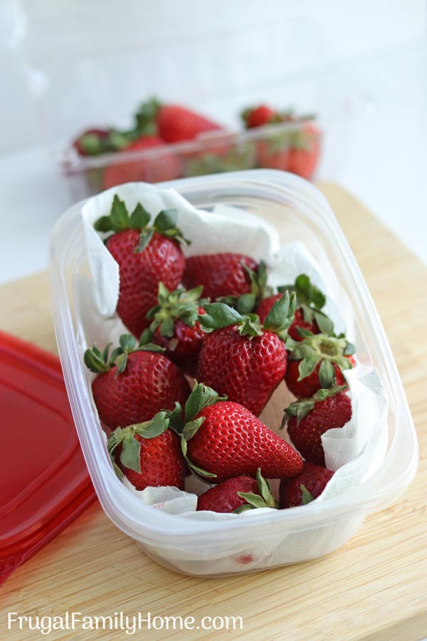 Strawberries in a container.