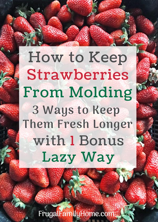 How to keep strawberries from molding 4 different ways.
