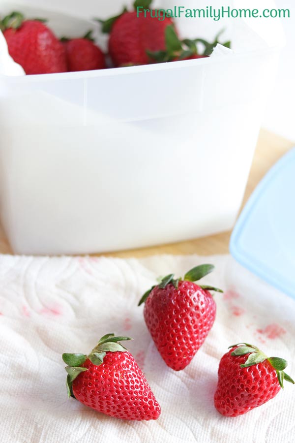 How to keep strawberries up to 2 weeks in a tight fitting container.