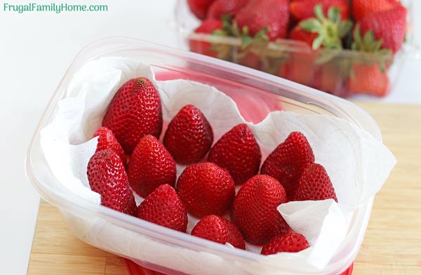 Storing strawberries in the refrigerator.