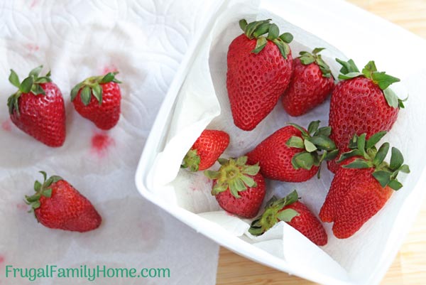 Paper towel trick keeps strawberries fresh for longer - 'extend the shelf  life