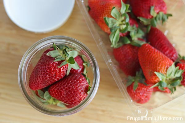 Keeping the strawberries in a jar.
