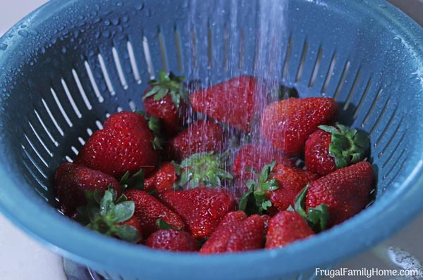 How to Keep Strawberries from Molding, The Best To Store Strawberries