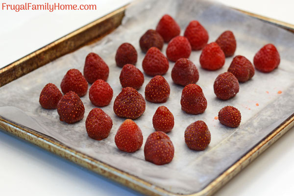 fresh strawberries frozen on a cookies sheet so they don't stick together. 