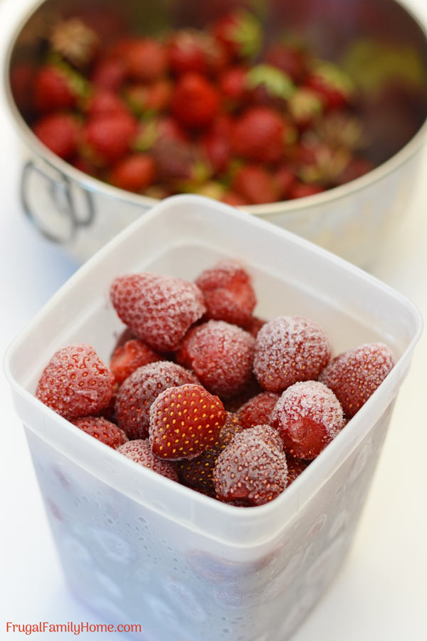 fresh strawberries frozen in freezer container